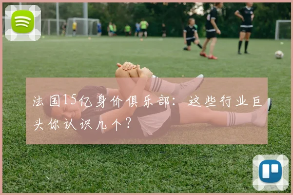 法国15亿身价俱乐部：这些行业巨头你认识几个？
