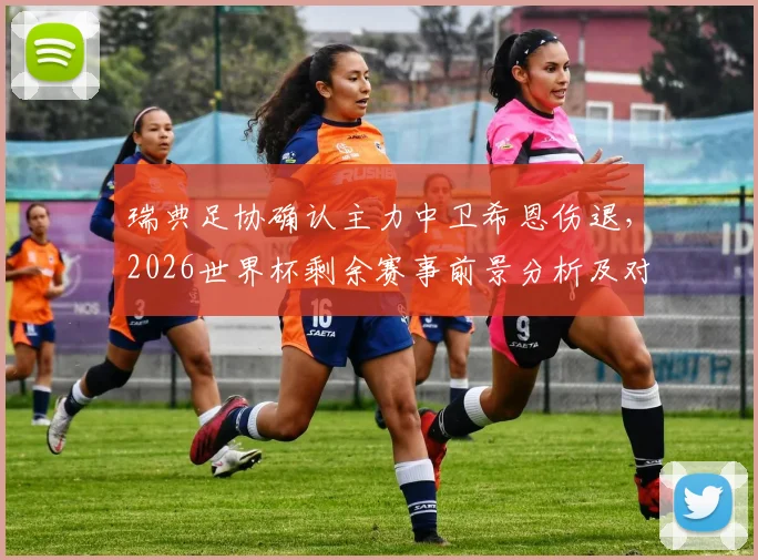 瑞典足协确认主力中卫希恩伤退,2026世界杯剩余赛事前景分析及对后防线影响